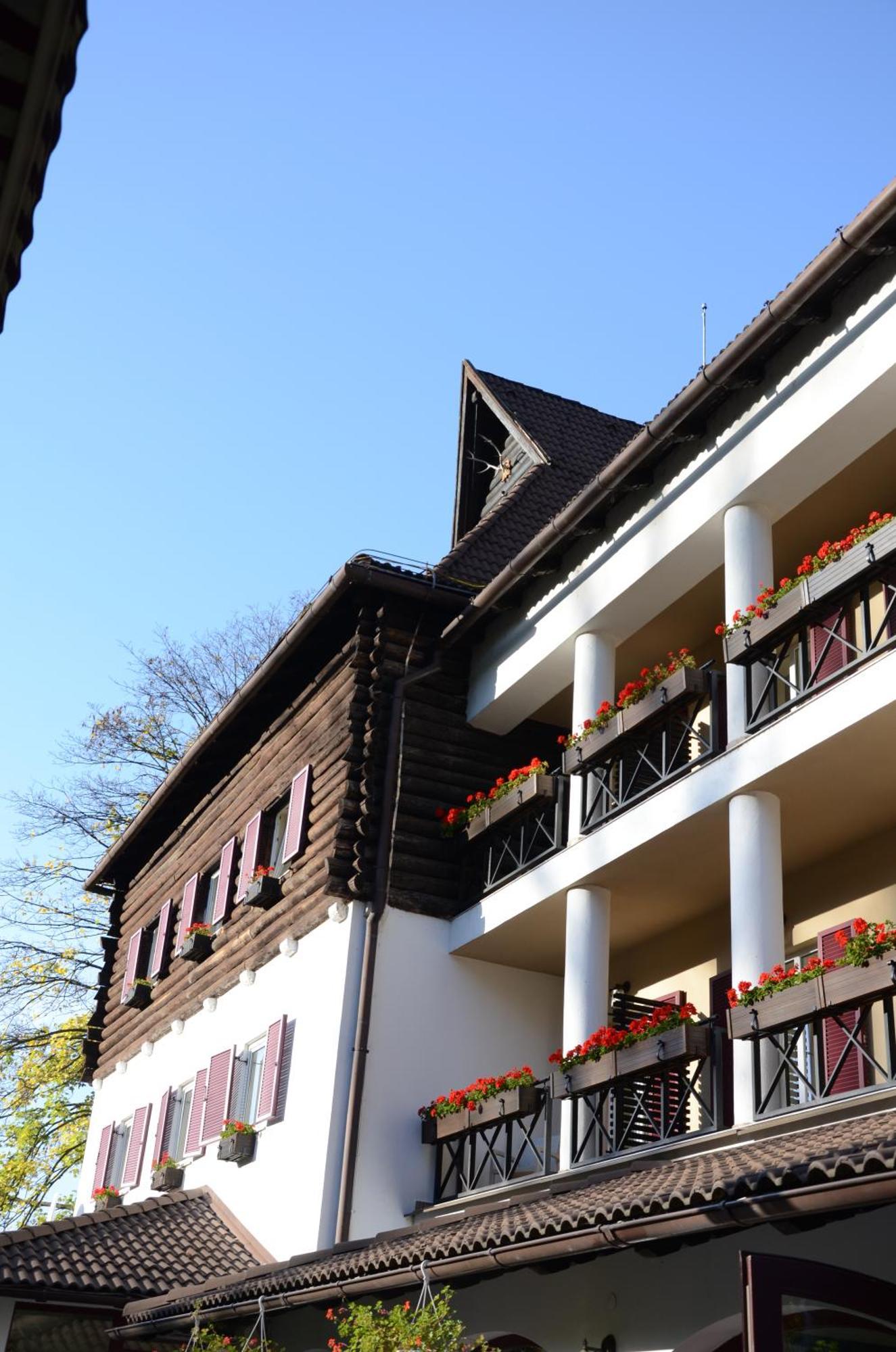 Hotel Gradina Morii Sighetu Marmaţiei Exterior foto