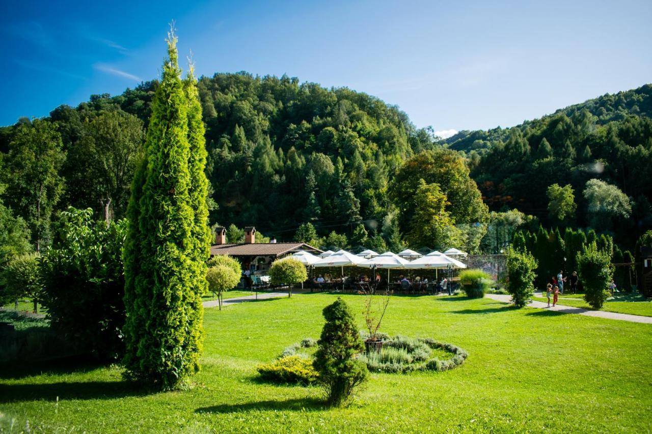 Hotel Gradina Morii Sighetu Marmaţiei Exterior foto