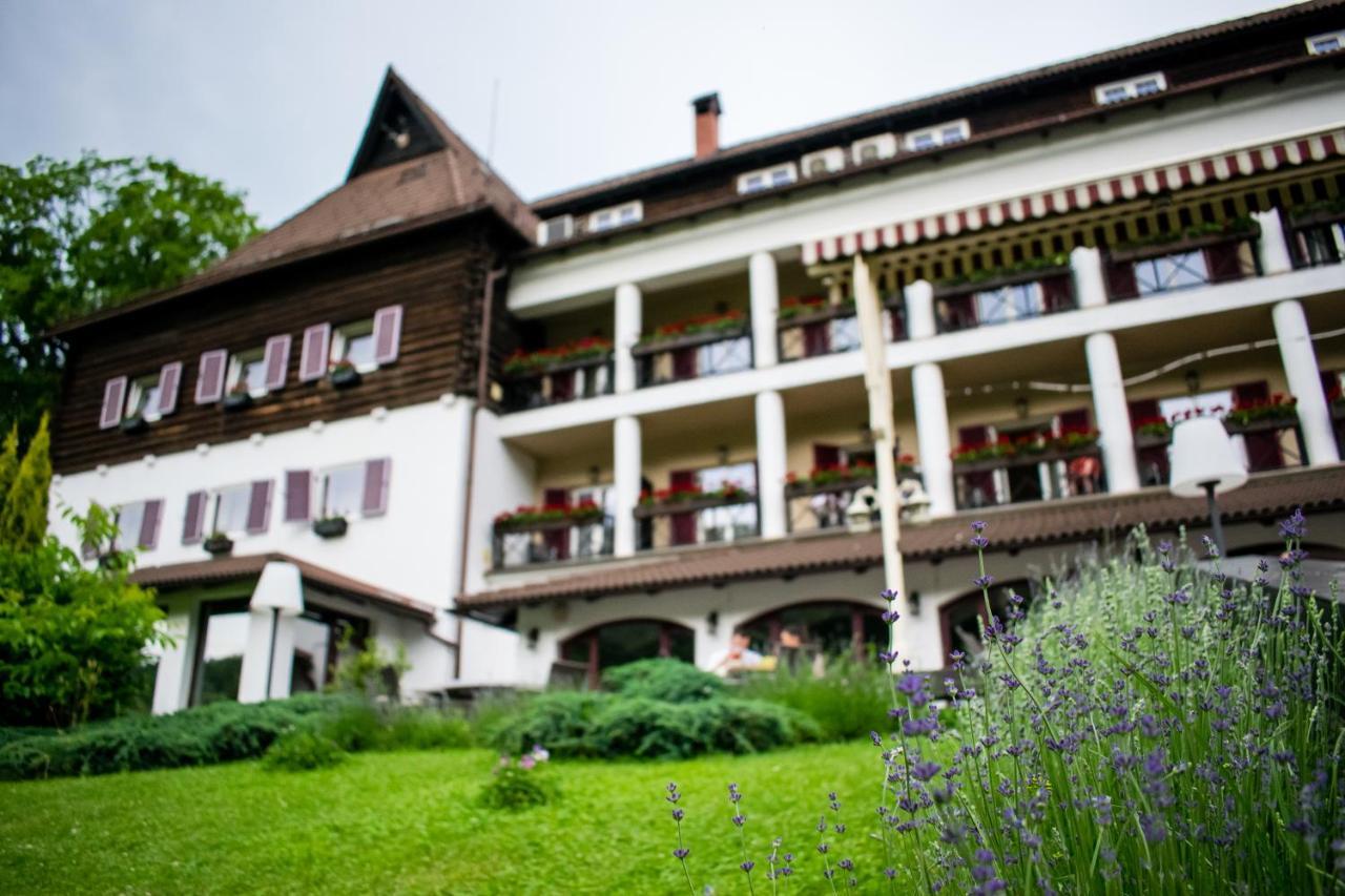 Hotel Gradina Morii Sighetu Marmaţiei Exterior foto